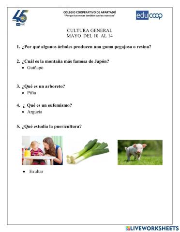 Actividad: Cultura General