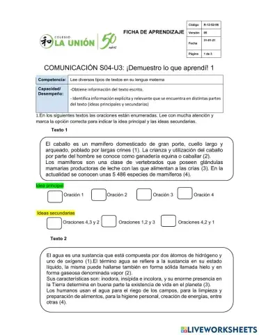 Ideas principales y secundarias
