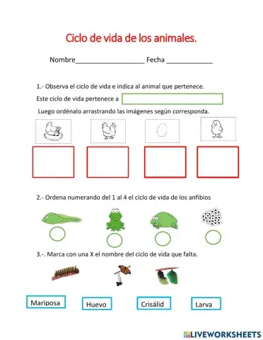 Ciclo de vida de los animales