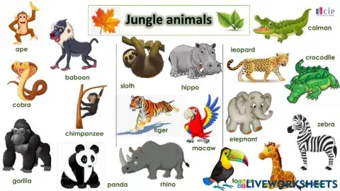 Jungle animals