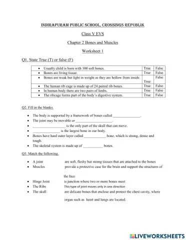 Class 5 Bones and Muscles