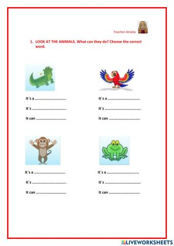 Animals 1º