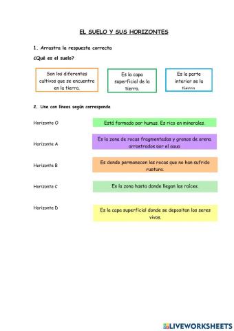 El suelo y sus horizontes