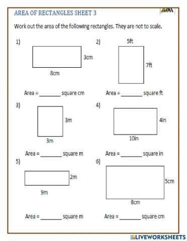Find the area of a rectangle