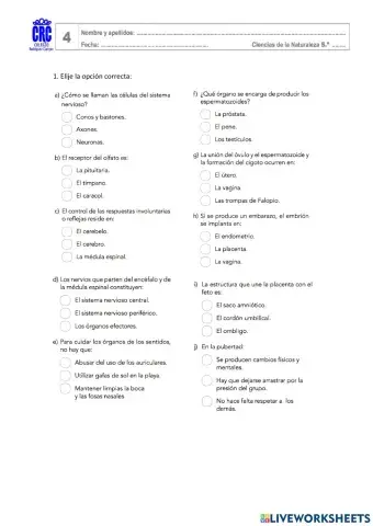 Naturales 6º-Unidad 4