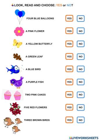 YES or NO? Colours, nature and numbers