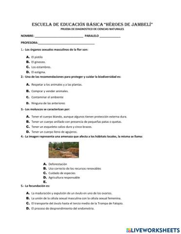 Prueba diagnóstica ciencias naturales
