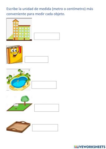 El metro y el centímetro