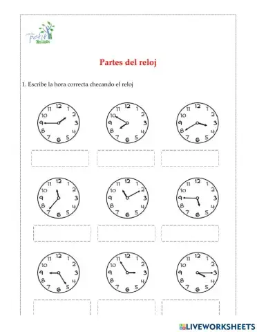 Partes del reloj