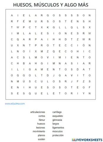 Huesos, músculos y algo más