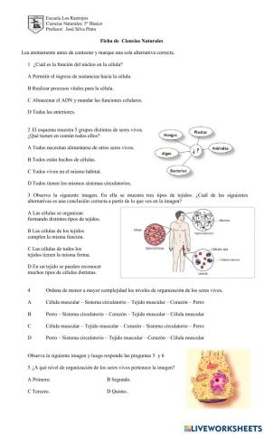 Niveles de organización de los seres vivos