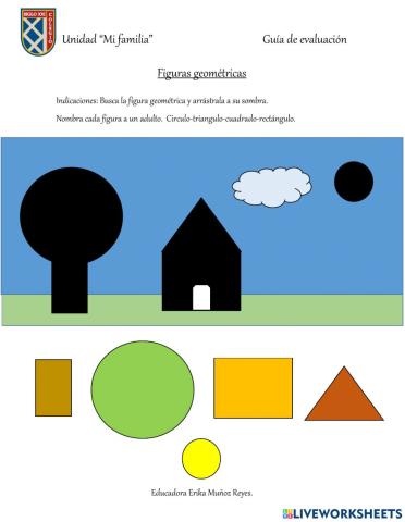 Evaluación figuras y cuerpos geométricos