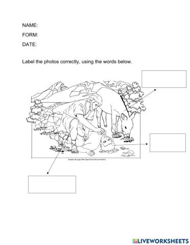 The Parable of the Good Samaritan