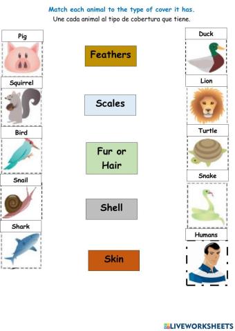 Animals body covering