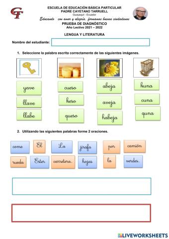 Prueba de diagnóstico
