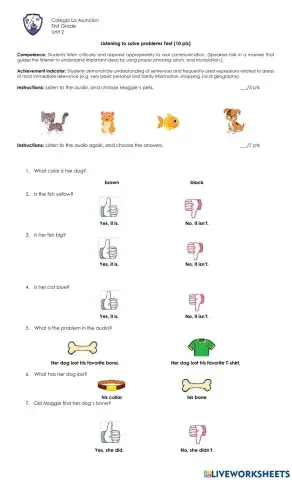 Listening to solve problems test