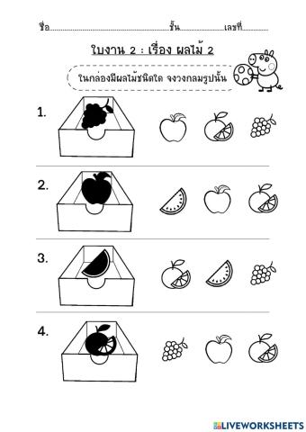 Fruit 2 (K3)