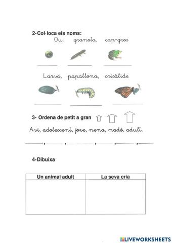 El creixement repàs