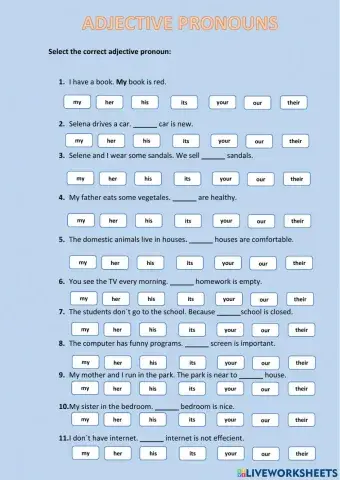 Possessive adjectives