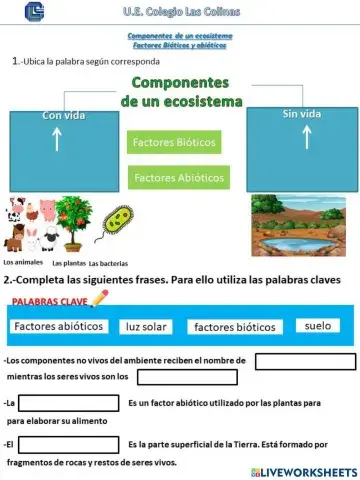 Factores Bióticos y Abióticos