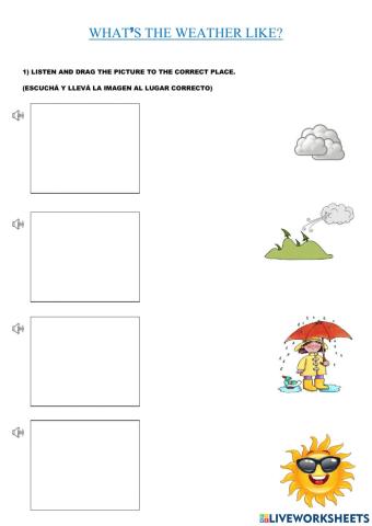 What's the weather like?