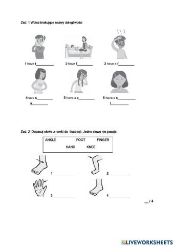 Brainy 6 unit 6 basic