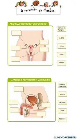 Aparello reprodutor 1