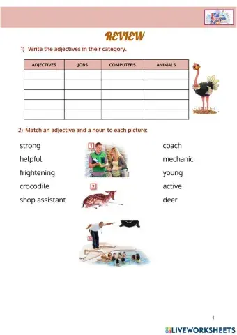 Review vocabulary 2eso