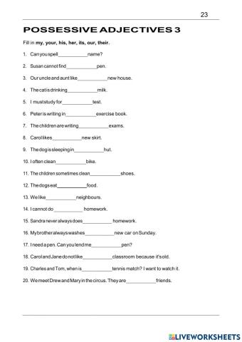 Possessiveadjectives 3