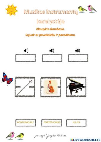 Muzikos instrumentai
