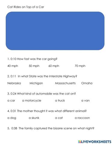 Cat Rides on Top of a Car