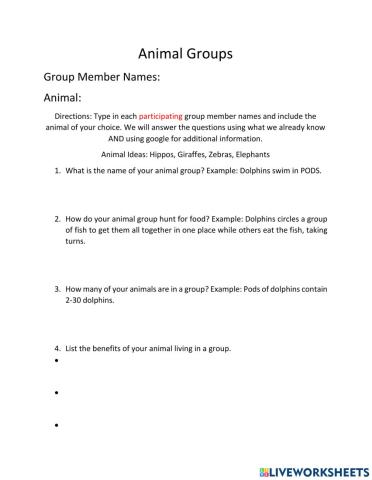 Animal Groups