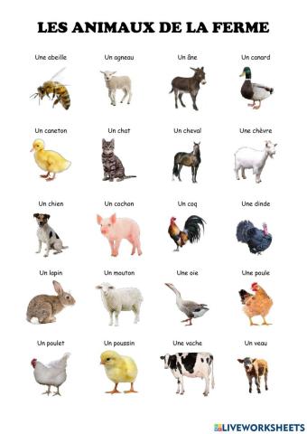 Les animaux de la ferme