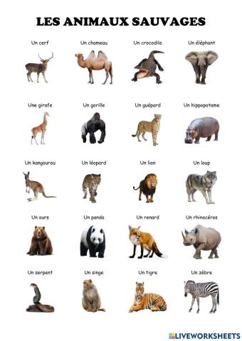 Les animaux sauvages