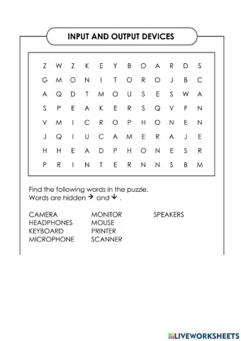 Input and output devices