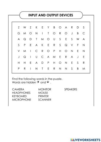 Input and output devices