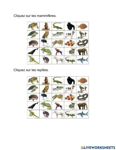 Les animaux vertébrés