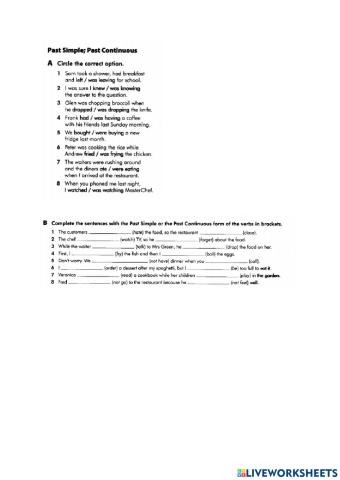 Past simple and past continuous