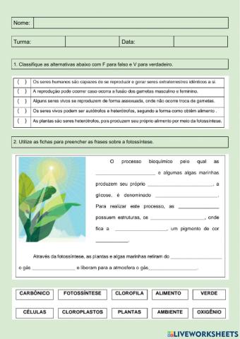 Características Dos Seres Vivos