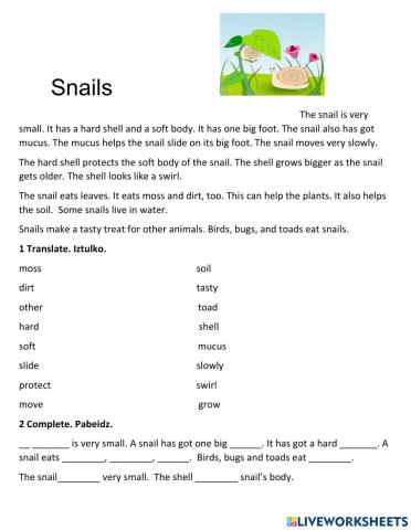 Wild animals. Snails.