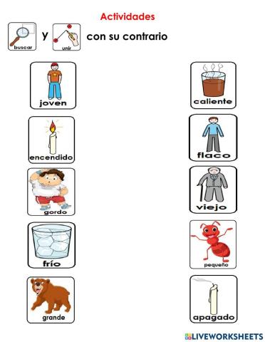 Ejercicios de contrarios