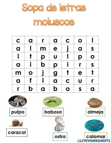 Sopa de letras MOLUSCOS