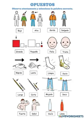 Opuestos 1 - Unir