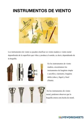 Instrumentos de viento