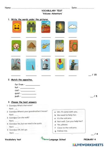 Primary 4 - Book test - Volcano Adventure