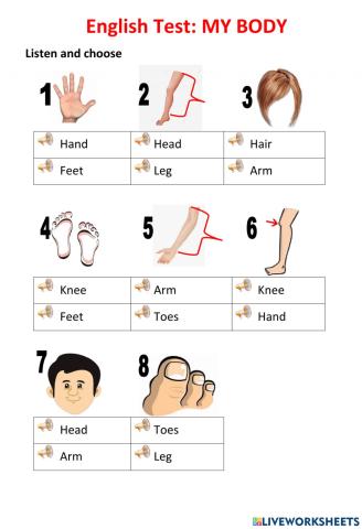 English test Body parts