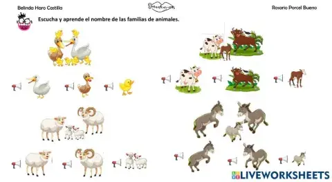 vocabulario: familia de animales
