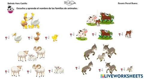 vocabulario: familia de animales