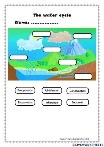 The water cycle