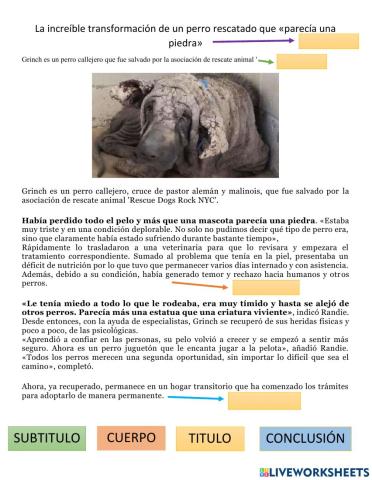 Partes de la noticia